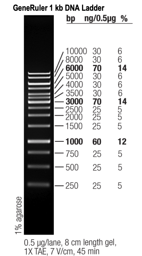 Ladder Lab Use Ladder - Code & Lab Wiki